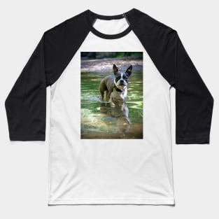 Meryl the Boston Terrie Baseball T-Shirt